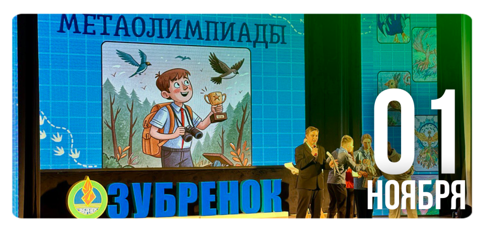 На старт, внимание… птицы!