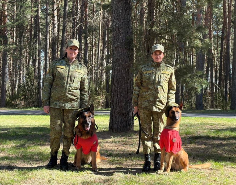 «Женский взгляд: профессии без стереотипов»