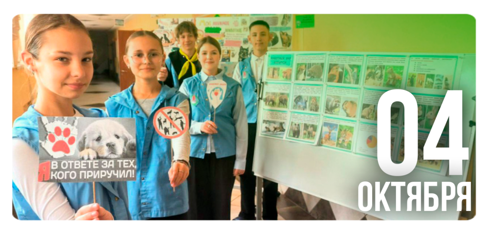 «Любовь и забота – наш выбор»