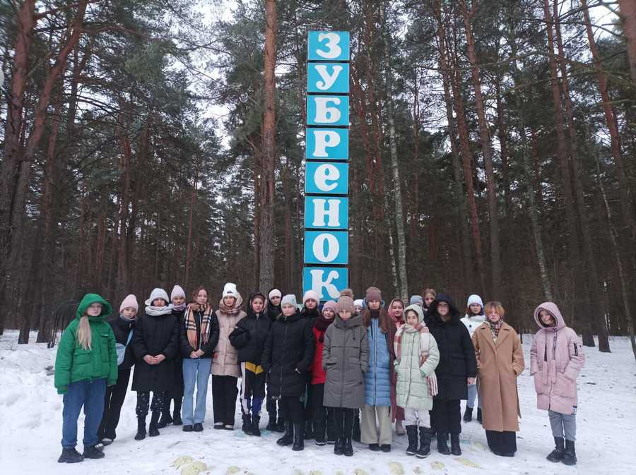 В поисках волшебных звезд