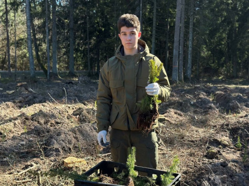 «Дай лесу новае жыццё!»