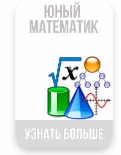 Профильный отряд «Юный математик»