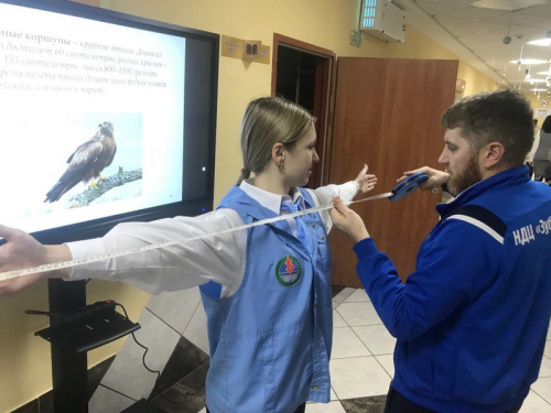 От взмаха крыльев до грома: неделя эффекта резонанса От взмаха крыльев до грома: неделя эффекта резонанса