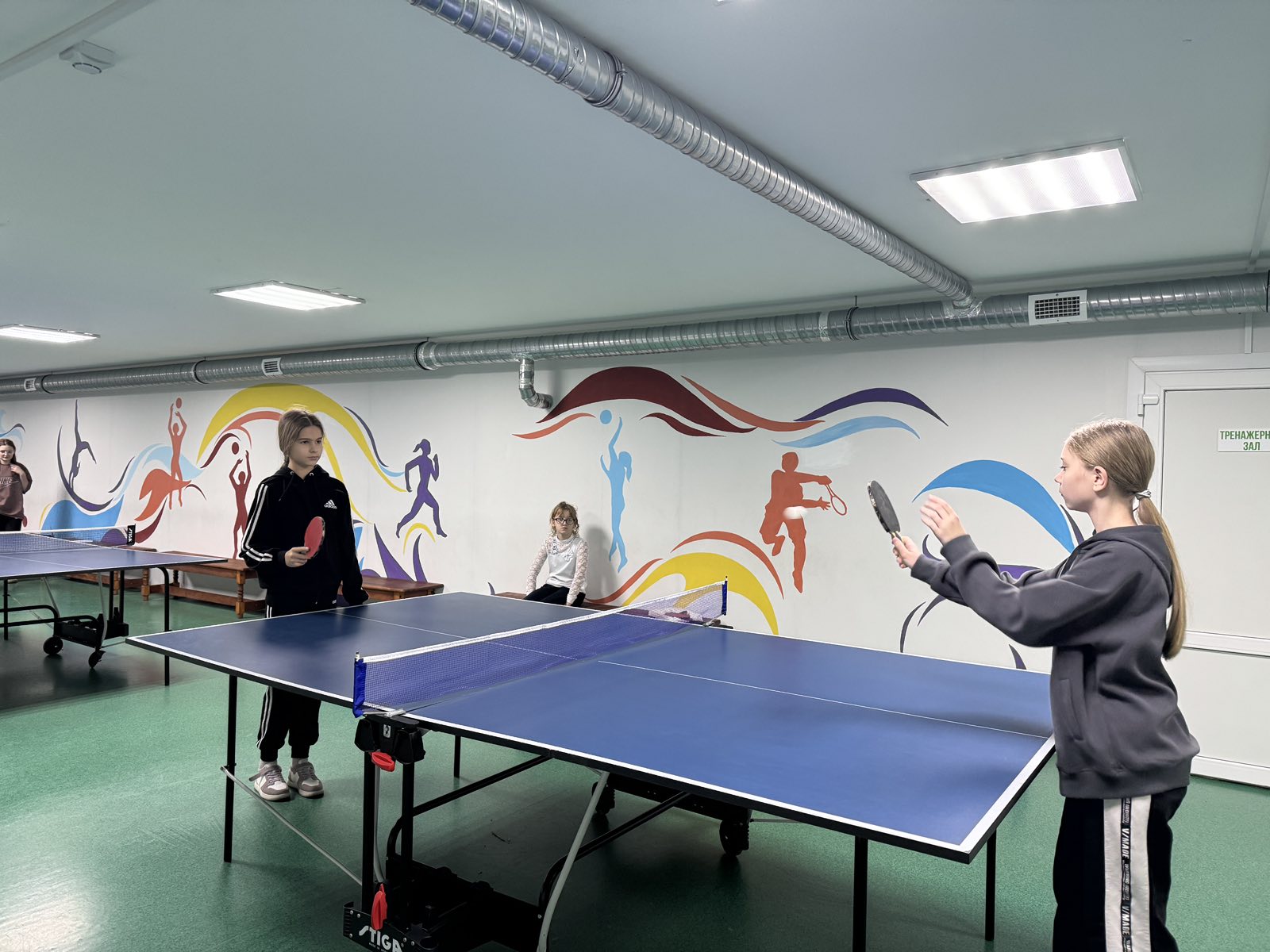 Все на волейбол и настольный теннис Все на волейбол и настольный теннис