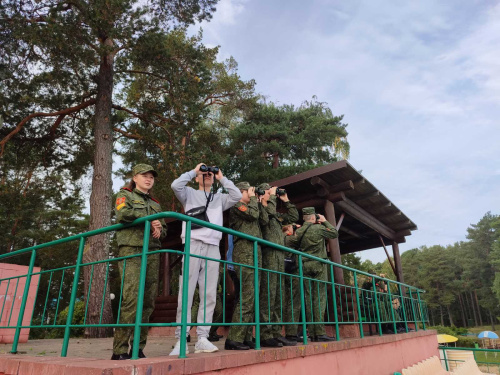 Наблюдение за птицами