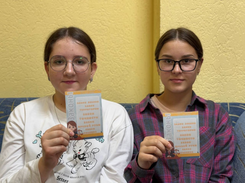 Деловая игра по выбору органов самоуправления Деловая игра по выбору органов самоуправления