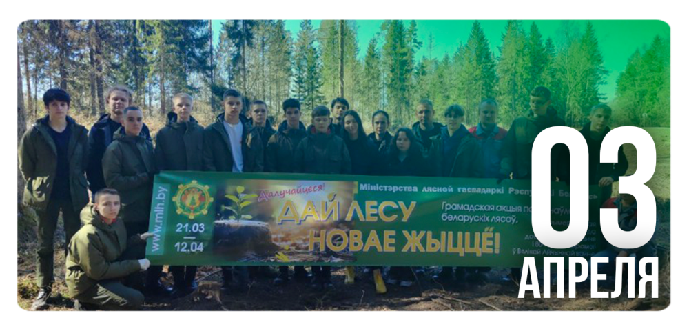 «Дай лесу новае жыццё!»