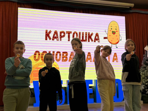«Новогодний оливье» «Новогодний оливье»